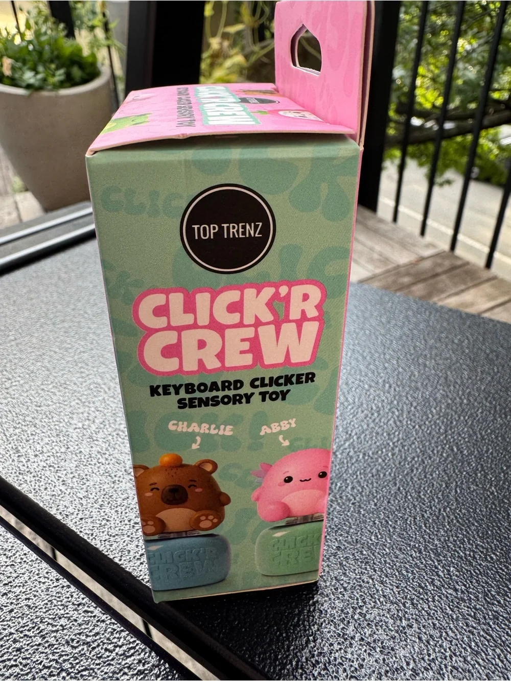 Click'R Crew Brown Bear Keyboard Clicker Sensory Toy - Brown/Teal